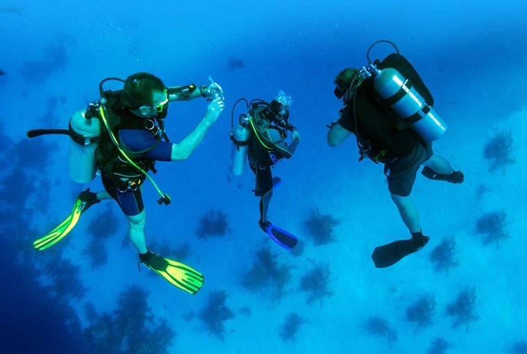 Scuba Diving at its Best in Bavaro Punta Cana!