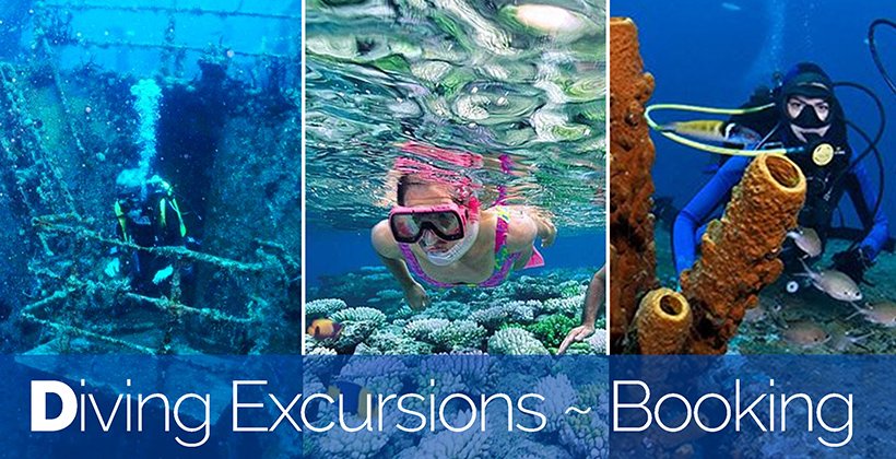 Diving & Snorkeling Excursions in Bavaro, Punta Cana.
