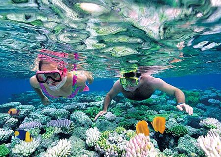 Best Diving & Snorkeling Excursions from Bavaro, Punta Cana.